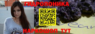 PSILOCYBIN Новозыбков