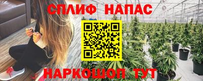 PSILOCYBIN Новозыбков