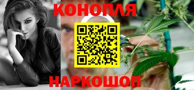 гидра Новодвинск